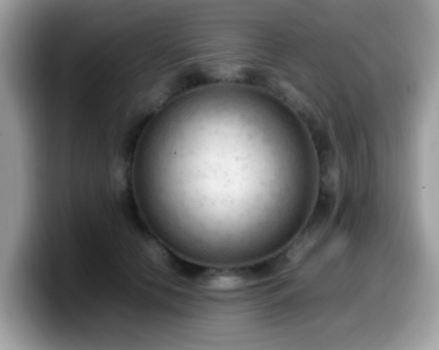 X0000099980658200805301354