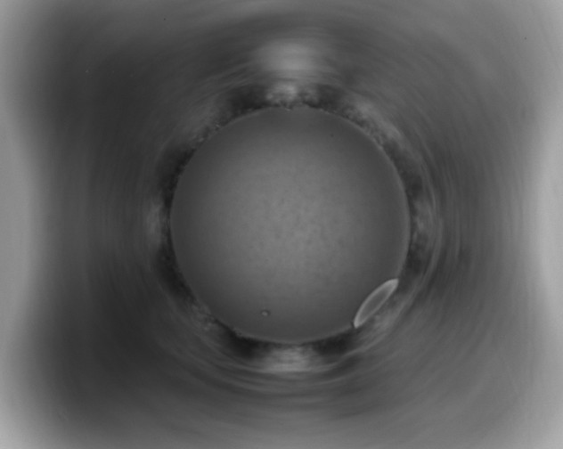 X0000099980659200805301354