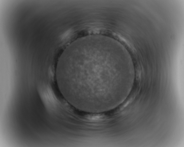 X0000099980661200805301354