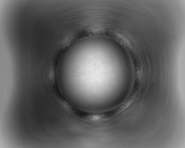 X0000099980662200805301354