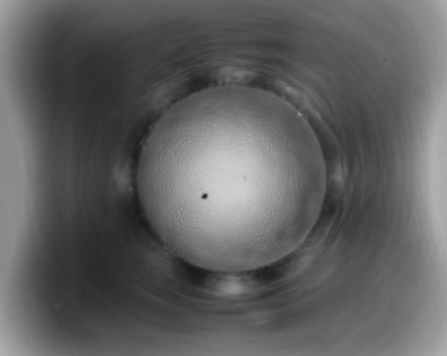 X0000099980663200805301354