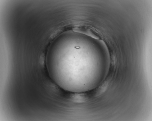 X0000099980664200805301354