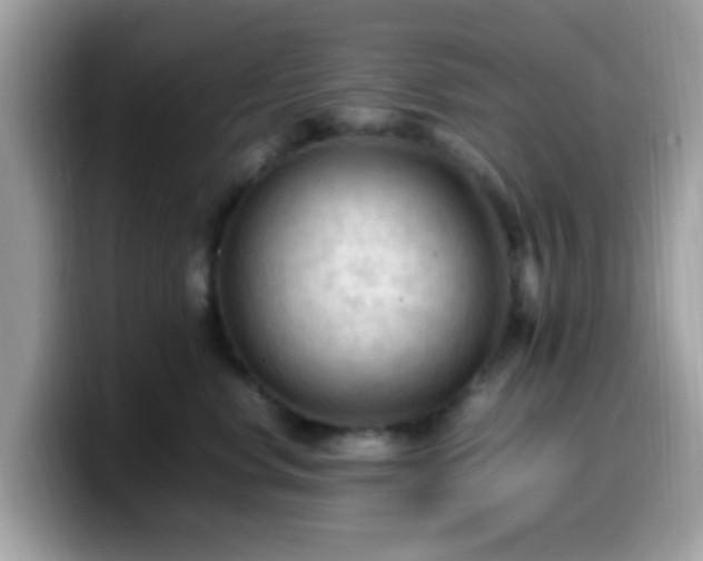 X0000099980668200805301355