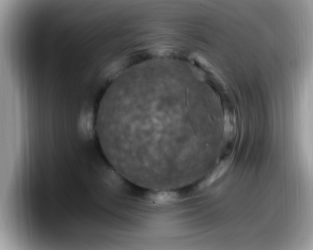 X0000099980670200805301355