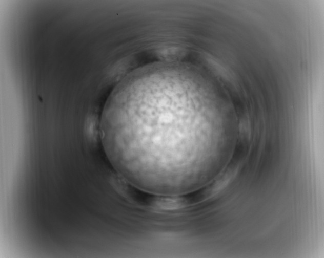 X0000099980671200805301355