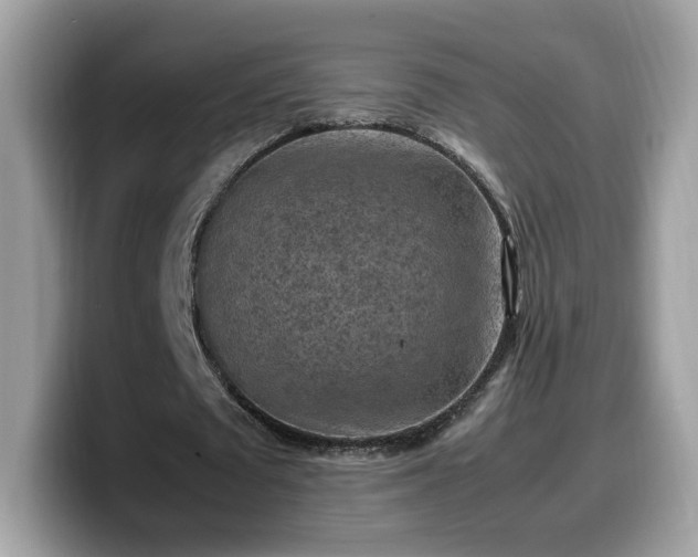 X0000099980673200805301354