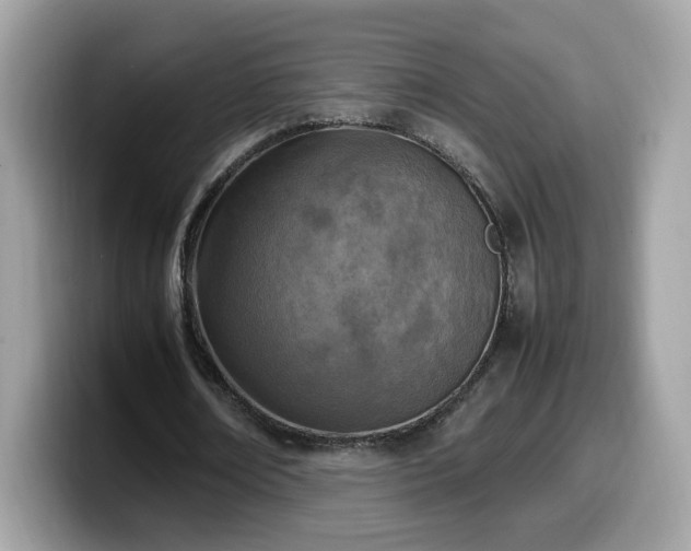 X0000099980674200805301354