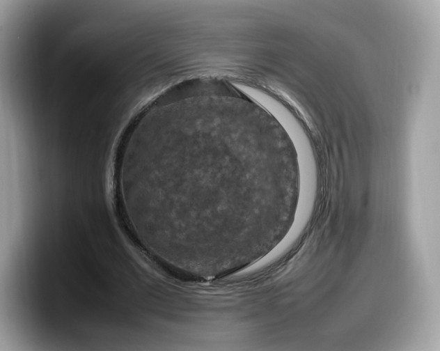 X0000099980677200805301354