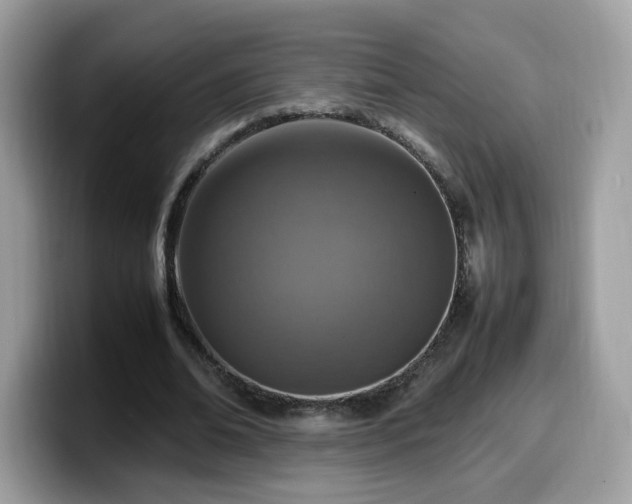 X0000099980678200805301354