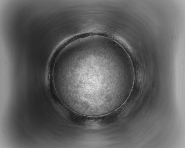 X0000099980680200805301354