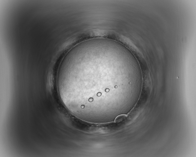 X0000099980683200805301354