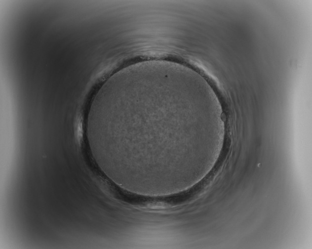 X0000099980685200805301354