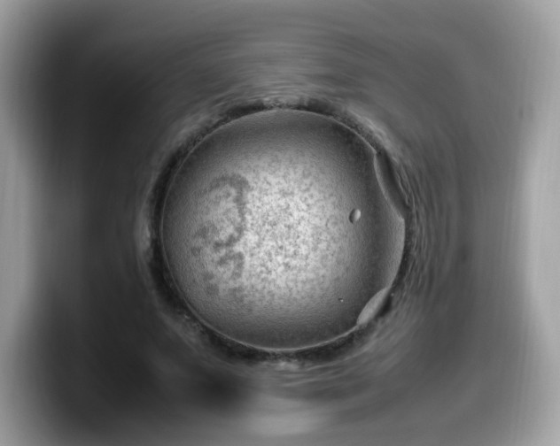 X0000099980687200805301354