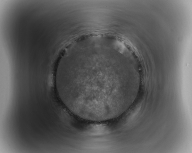 X0000099980689200805301354