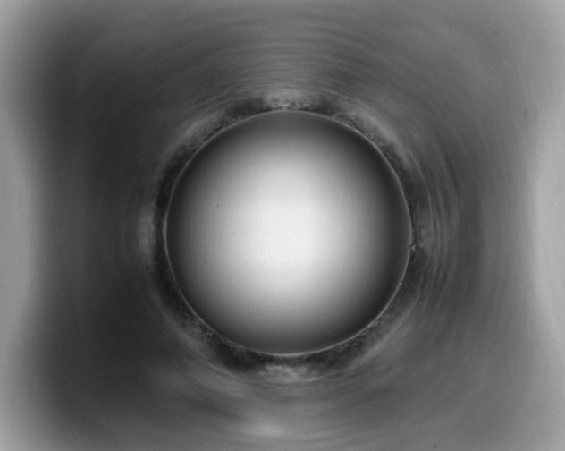 X0000099980690200805301354