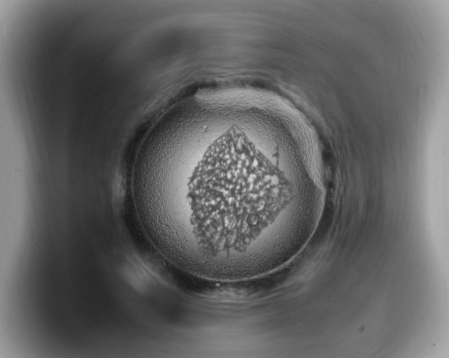 X0000099980691200805301354