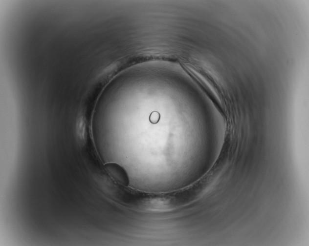 X0000099980692200805301354