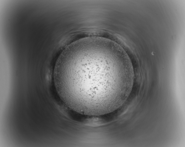 X0000099980695200805301354