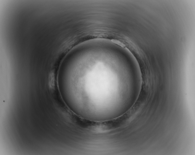 X0000099980696200805301354