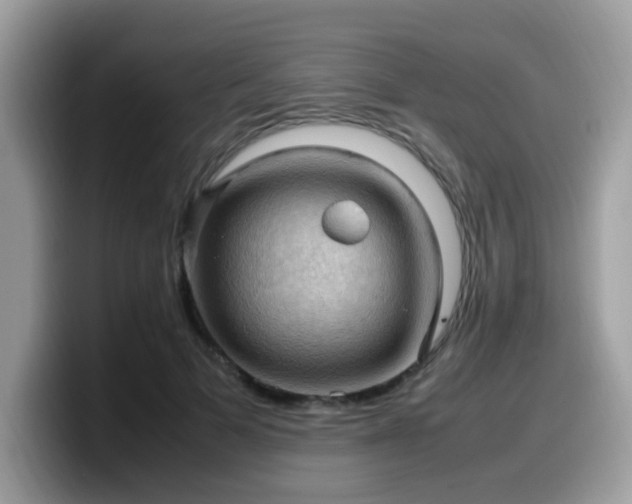 X0000099980697200805301354