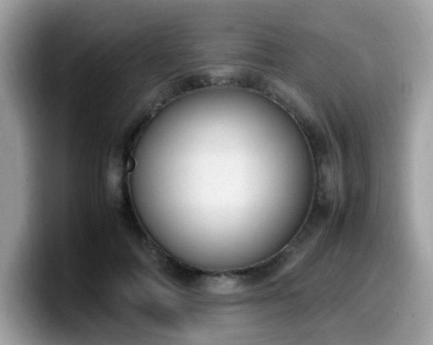 X0000099980698200805301354