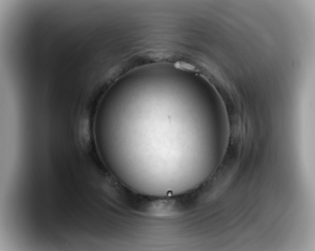 X0000099980700200805301354