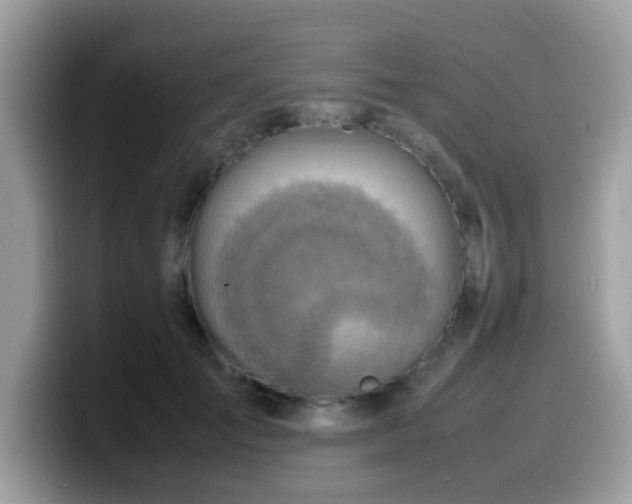 X0000099980701200805301354