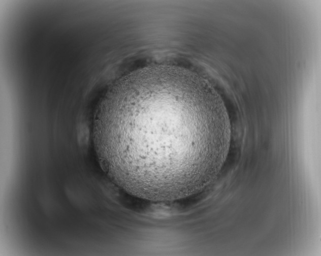 X0000099980703200805301354