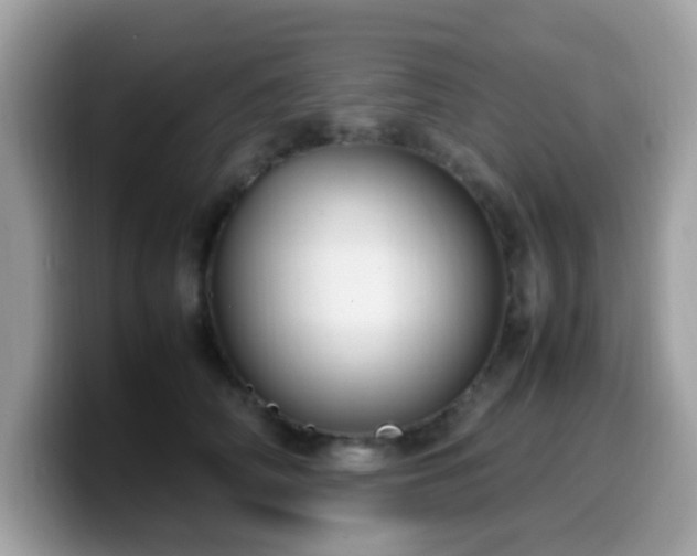 X0000099980706200805301353