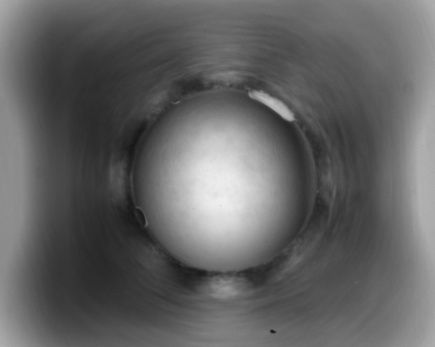 X0000099980708200805301353