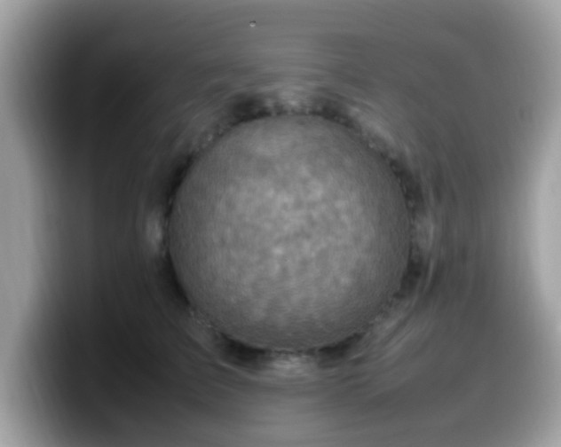 X0000099980709200805301353