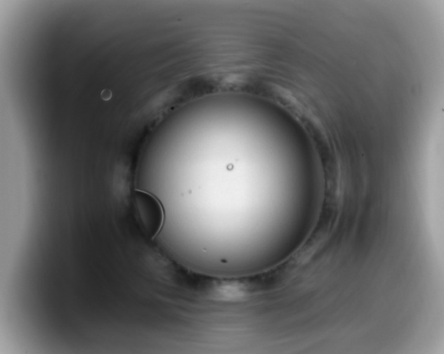 X0000099980710200805301353