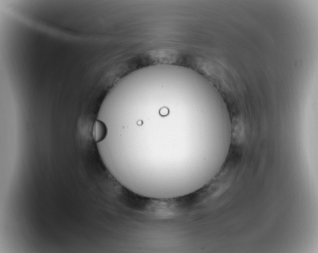 X0000099980713200805301353