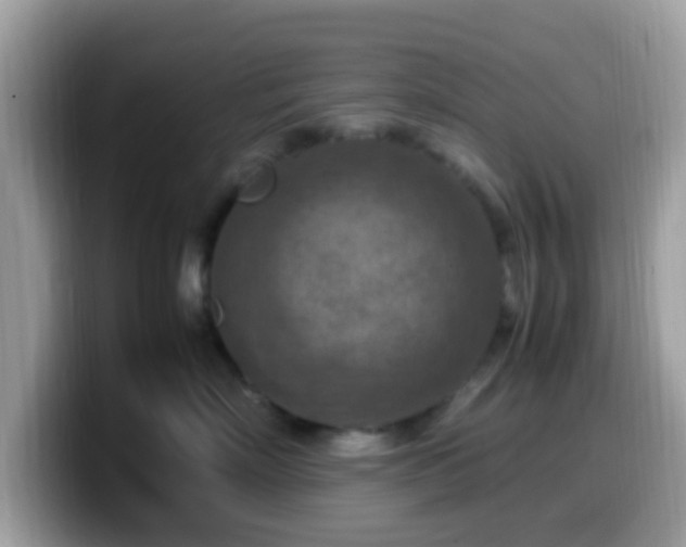 X0000099980718200805301353