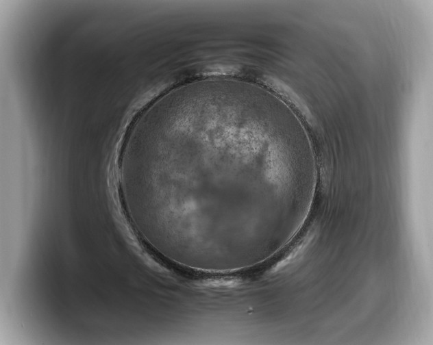 X0000099980721200805301353