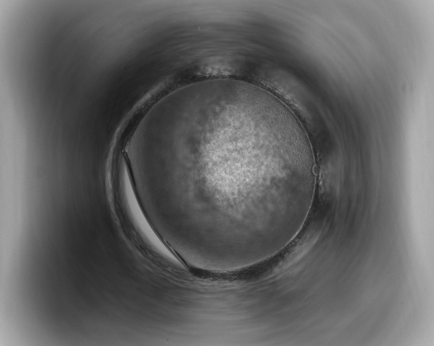 X0000099980722200805301353