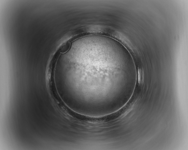 X0000099980723200805301353