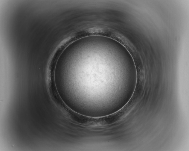 X0000099980727200805301353