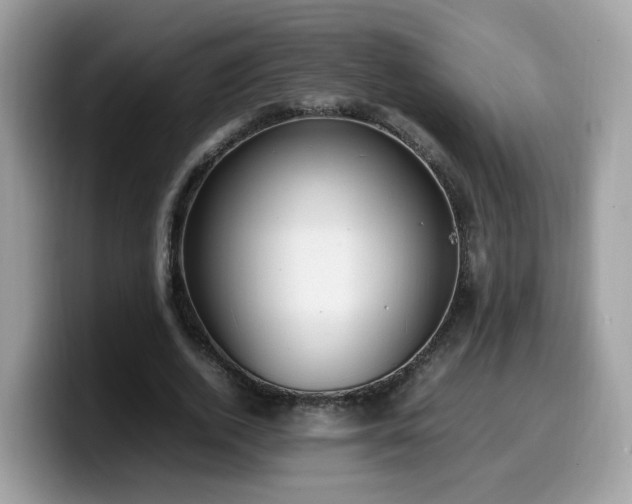 X0000099980728200805301353