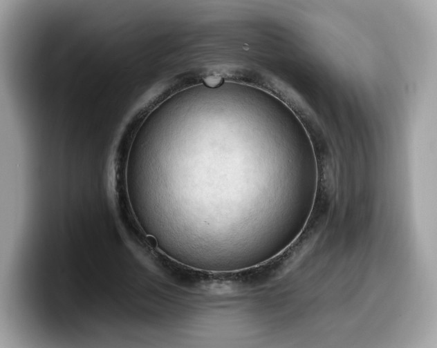 X0000099980730200805301353