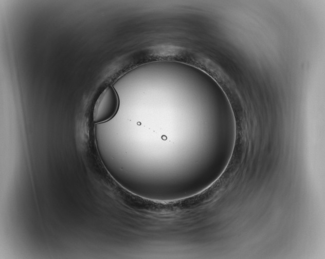 X0000099980731200805301353