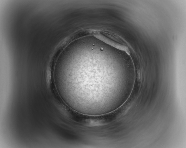 X0000099980733200805301353