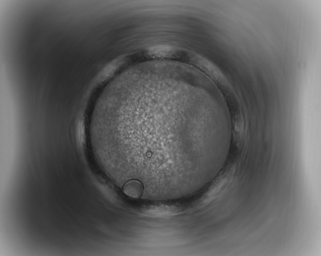 X0000099980734200805301353