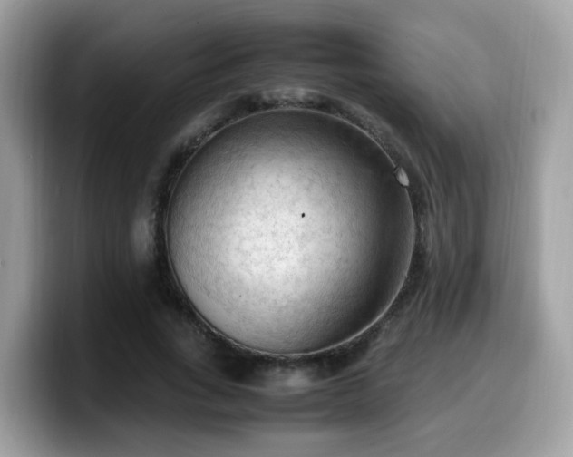 X0000099980735200805301353