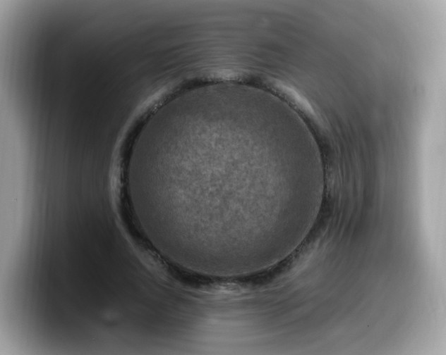 X0000099980736200805301353