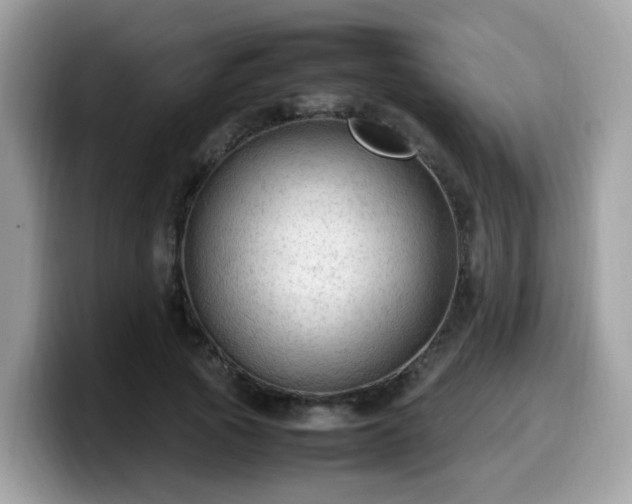 X0000099980737200805301353