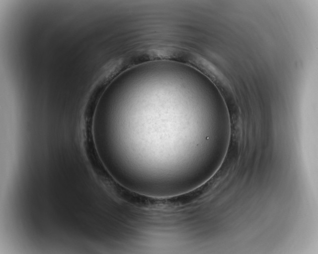 X0000099980738200805301353