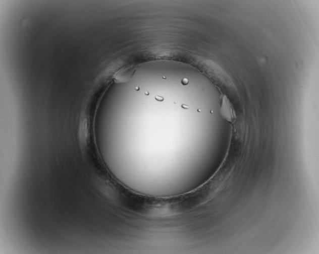 X0000099980740200805301353