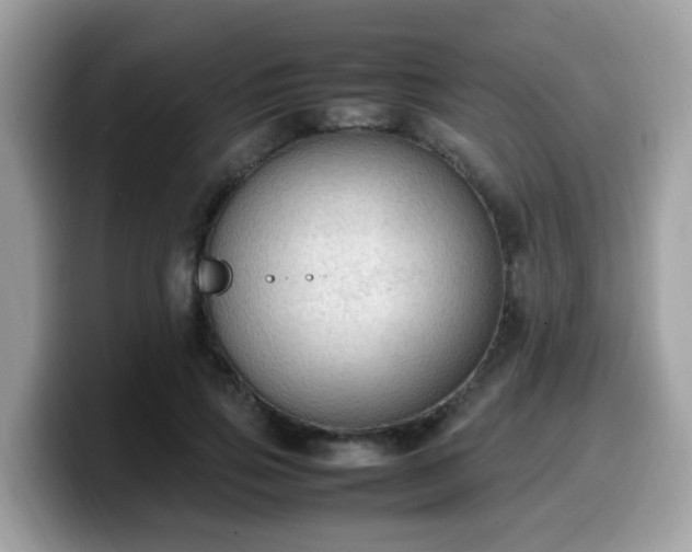 X0000099980741200805301353