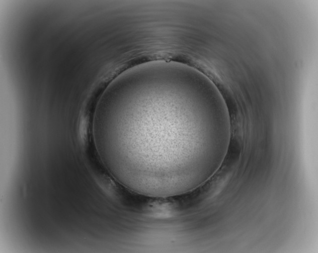 X0000099980742200805301353